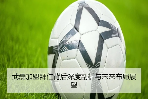 武磊加盟拜仁背后深度剖析与未来布局展望