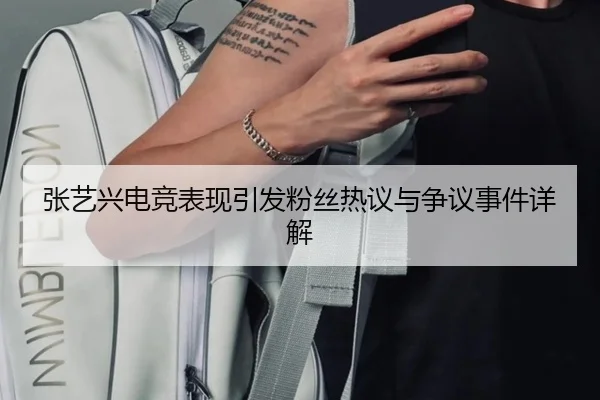 张艺兴电竞表现引发粉丝热议与争议事件详解